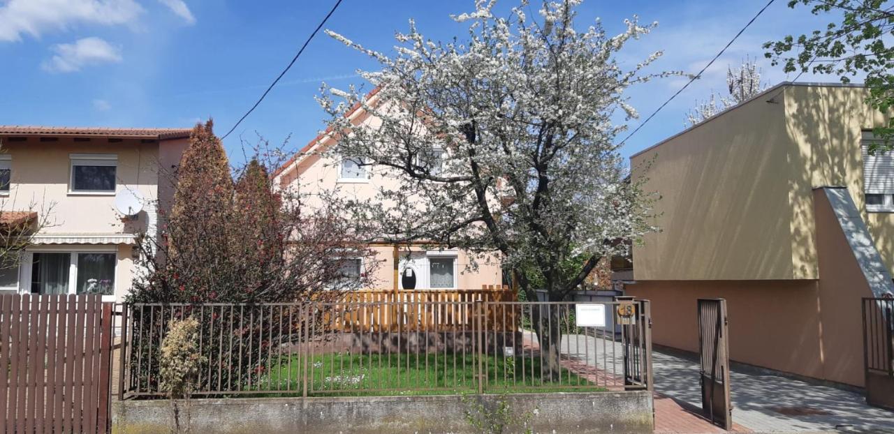 Rózsa Apartment Hajdúszoboszló Exterior foto